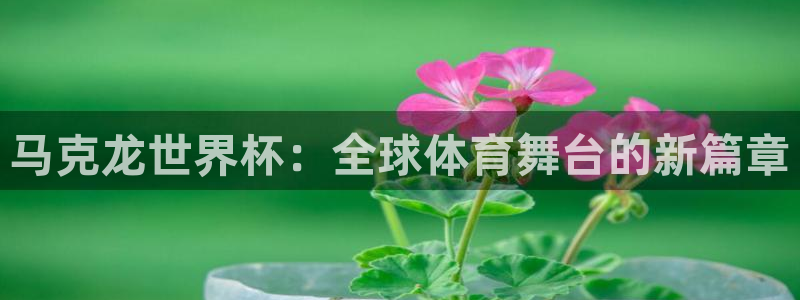 世界杯官網入口：馬克龍世界杯：全球體育舞臺的新篇章