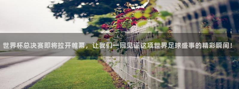 2026 世界杯：世界杯總決賽即將拉開帷幕，讓我們一同見證這項世界足球盛事的精彩瞬間！